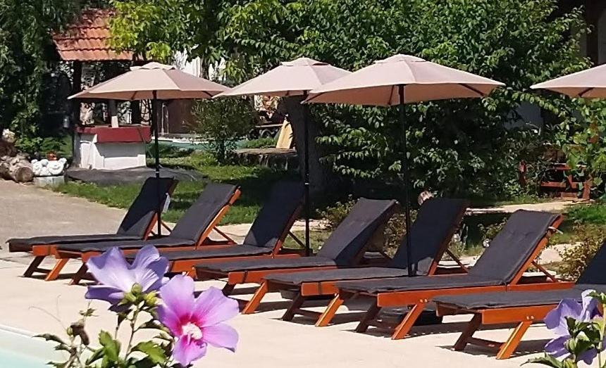 Remser Haus Zalakaros Exterior foto