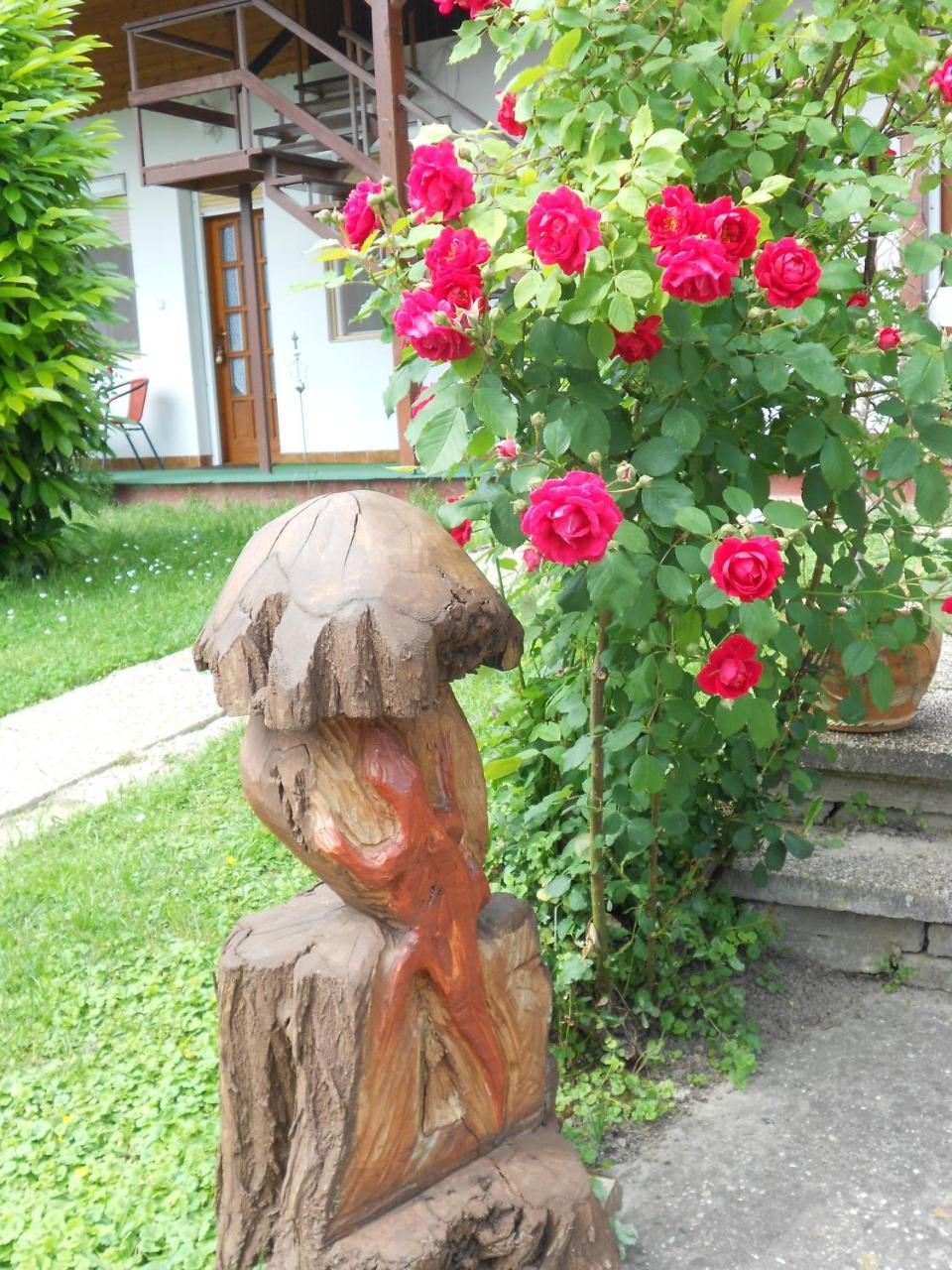Remser Haus Zalakaros Exterior foto